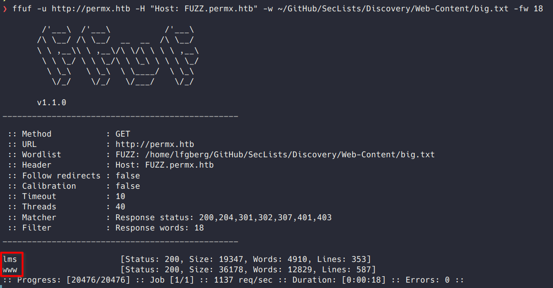 VHost Enumeration